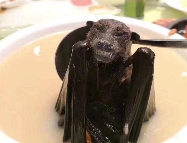 Bat soup (pictured) is a delicacy in China. It was first thought the coronavirus jumped from a bat to an unknown intermediary and then to humans at a Wuhan wet market. Scientists now doubt this is true, and the species of bat that carries the virus were not even sold at the market