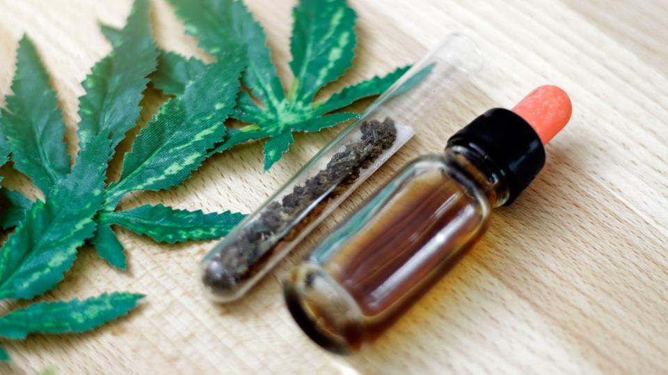 Dry cannabis leaves, cannabis plant and cannabis oil on table