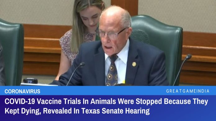 COVID-19 Vaccine Trials In Animals Were Stopped Because They Kept Dying, Revealed In Texas Senate Hearing